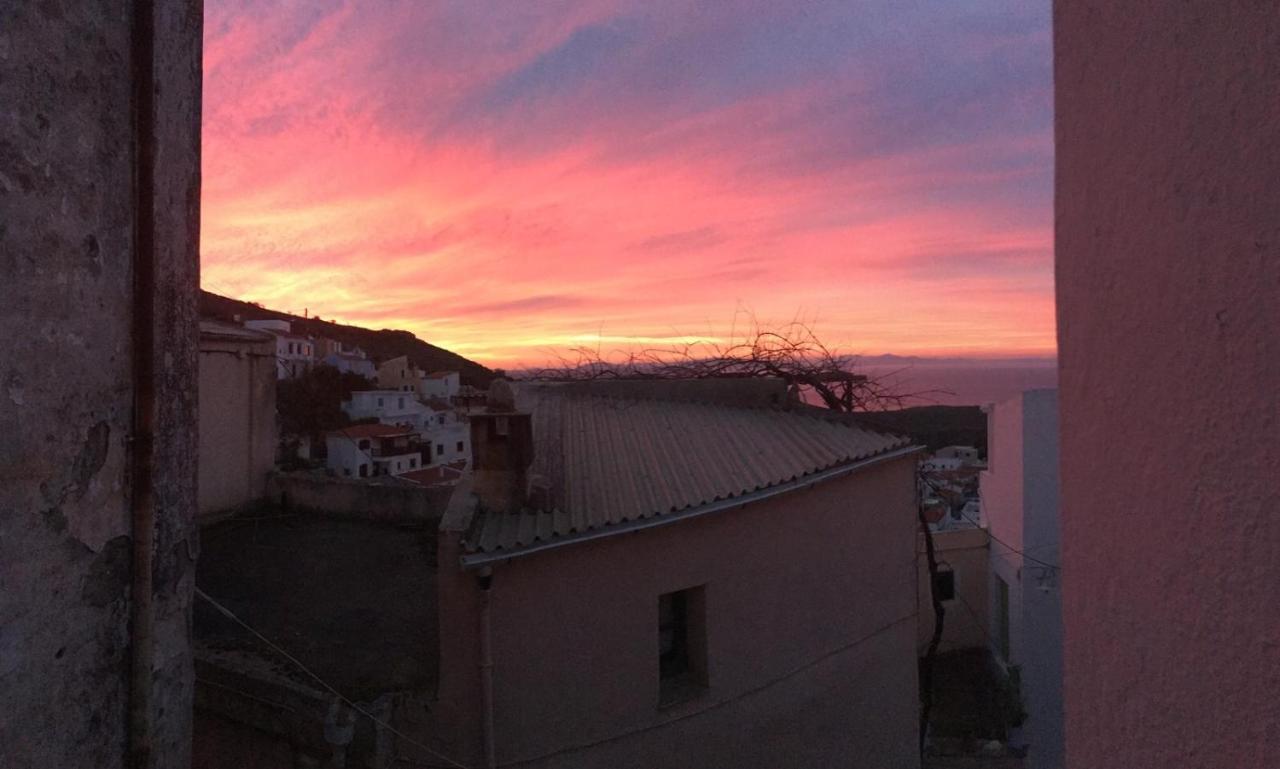 Aelia Villa Ioulis Dış mekan fotoğraf